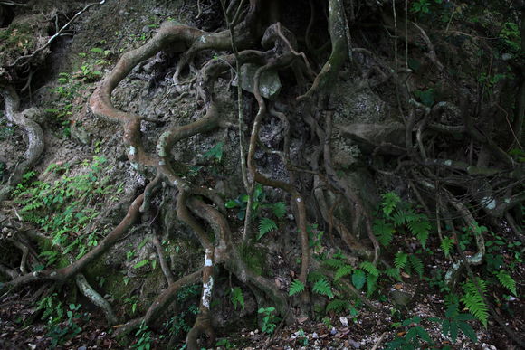 c0280729_11265320.jpg