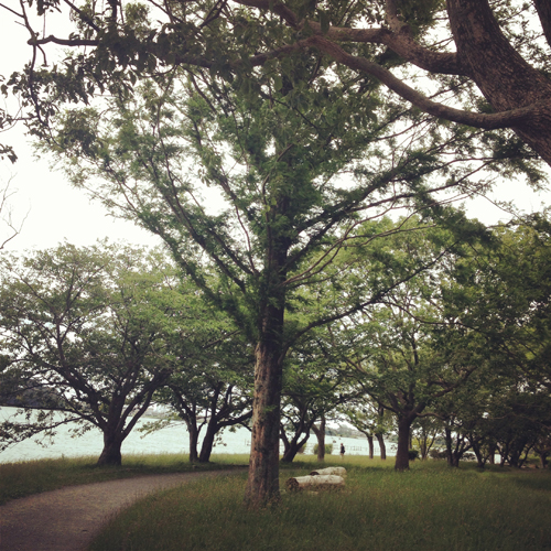 佐鳴湖にて_e0131432_1542366.jpg