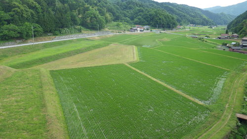 c0300035_86791.jpg
