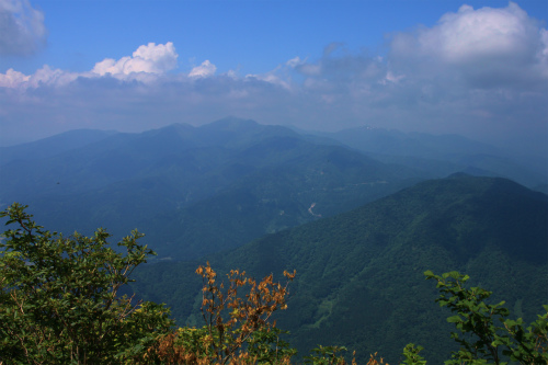 d0055236_19342.jpg