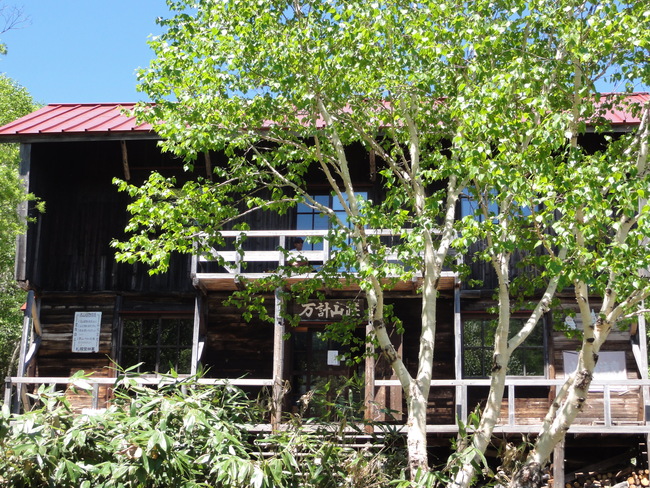 d0235336_20175571.jpg
