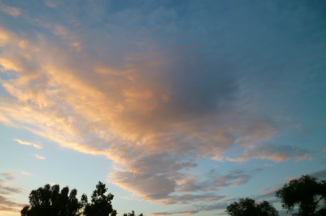d0170140_22553514.jpg