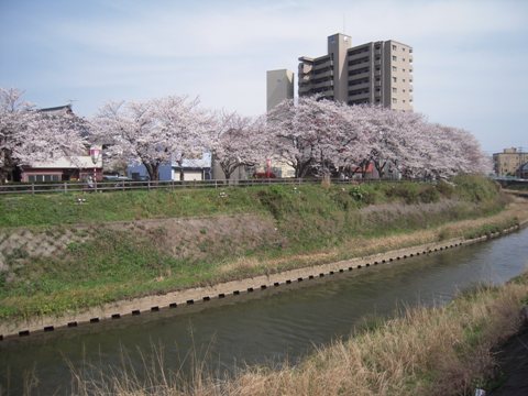 d0049152_13215648.jpg