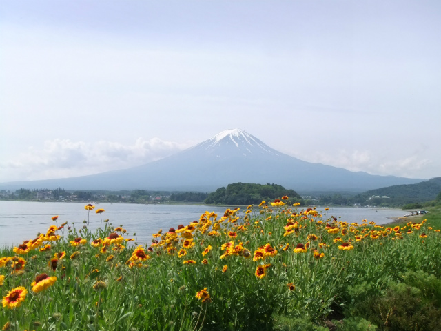 b0070657_15515596.jpg