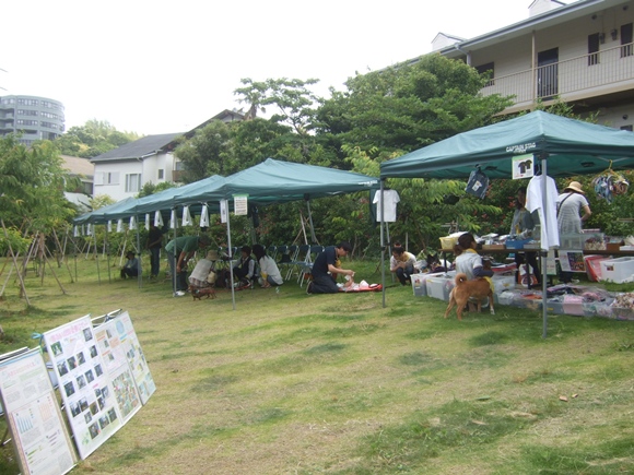 d0038458_1020816.jpg