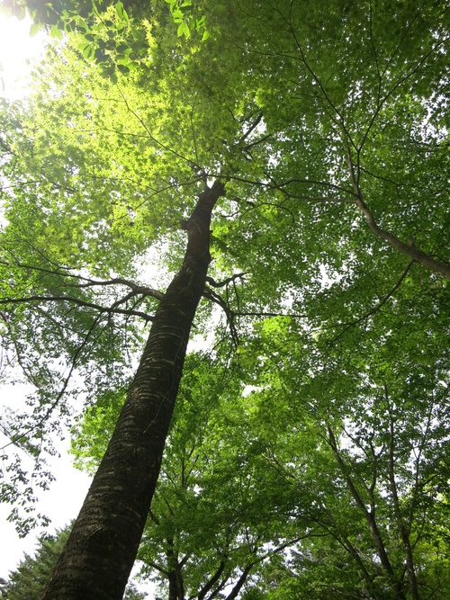 f0236260_2249335.jpg