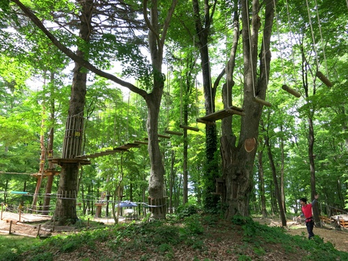 f0236260_22501717.jpg