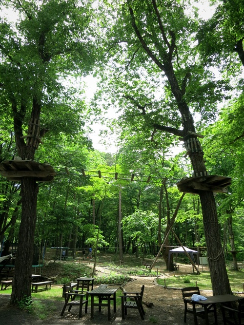 f0236260_22523362.jpg