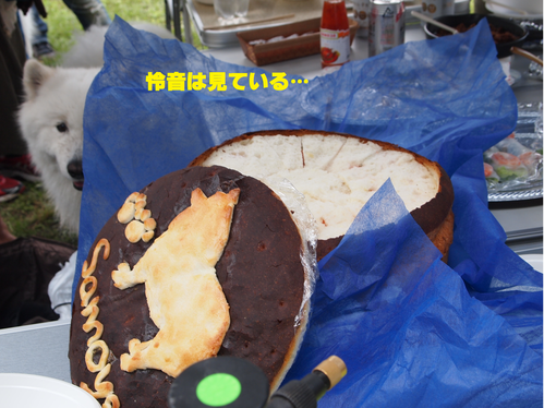 d0251768_14513591.png