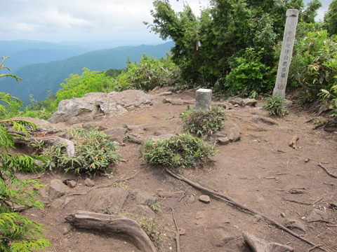 f0202271_06402.jpg