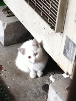 ということで通ってます♡_a0191183_15291856.jpg