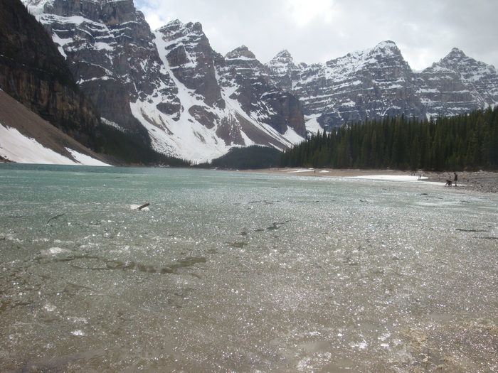 c0119891_511366.jpg