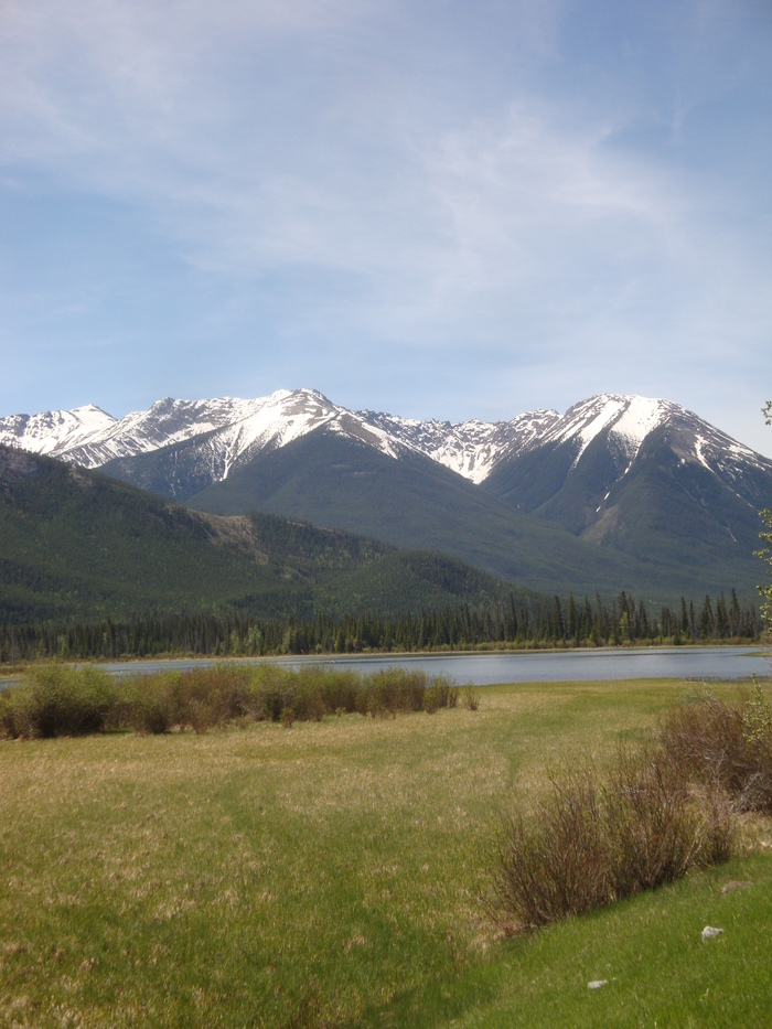 c0119891_5495921.jpg