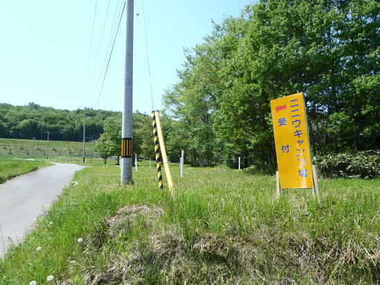 d0198793_16131730.jpg