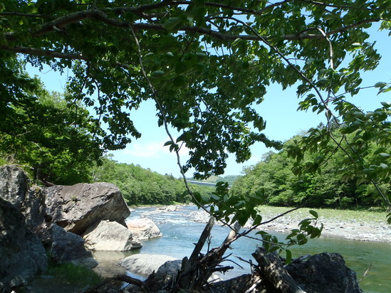 d0198793_16221440.jpg