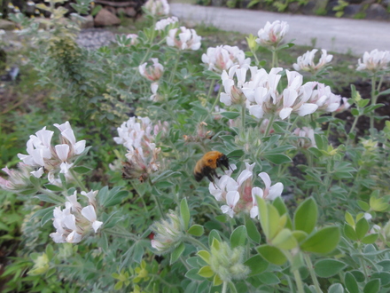 f0209394_03072.jpg