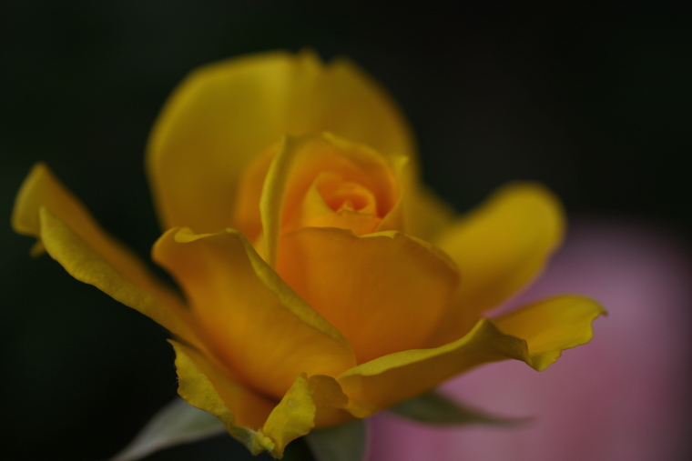 d0248502_647340.jpg