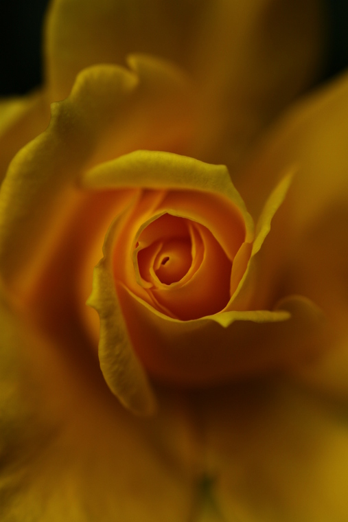 d0248502_6473767.jpg