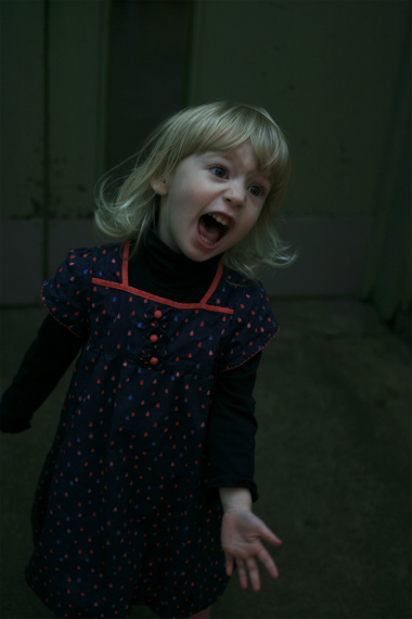 Rose 3歳の誕生日。_a0215008_784952.jpg