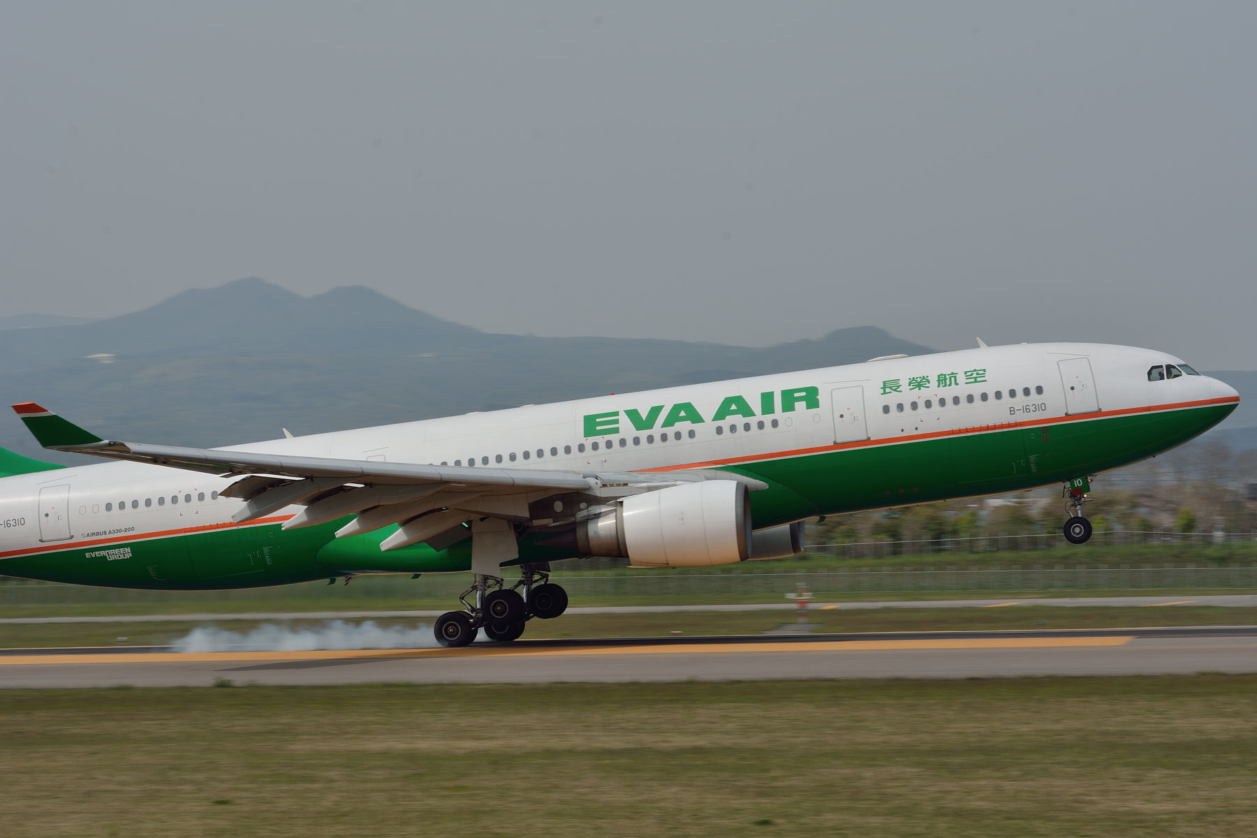 Airbus A330-200 / B-16310 : SKY LOUNGE GARDEN -transporter side-