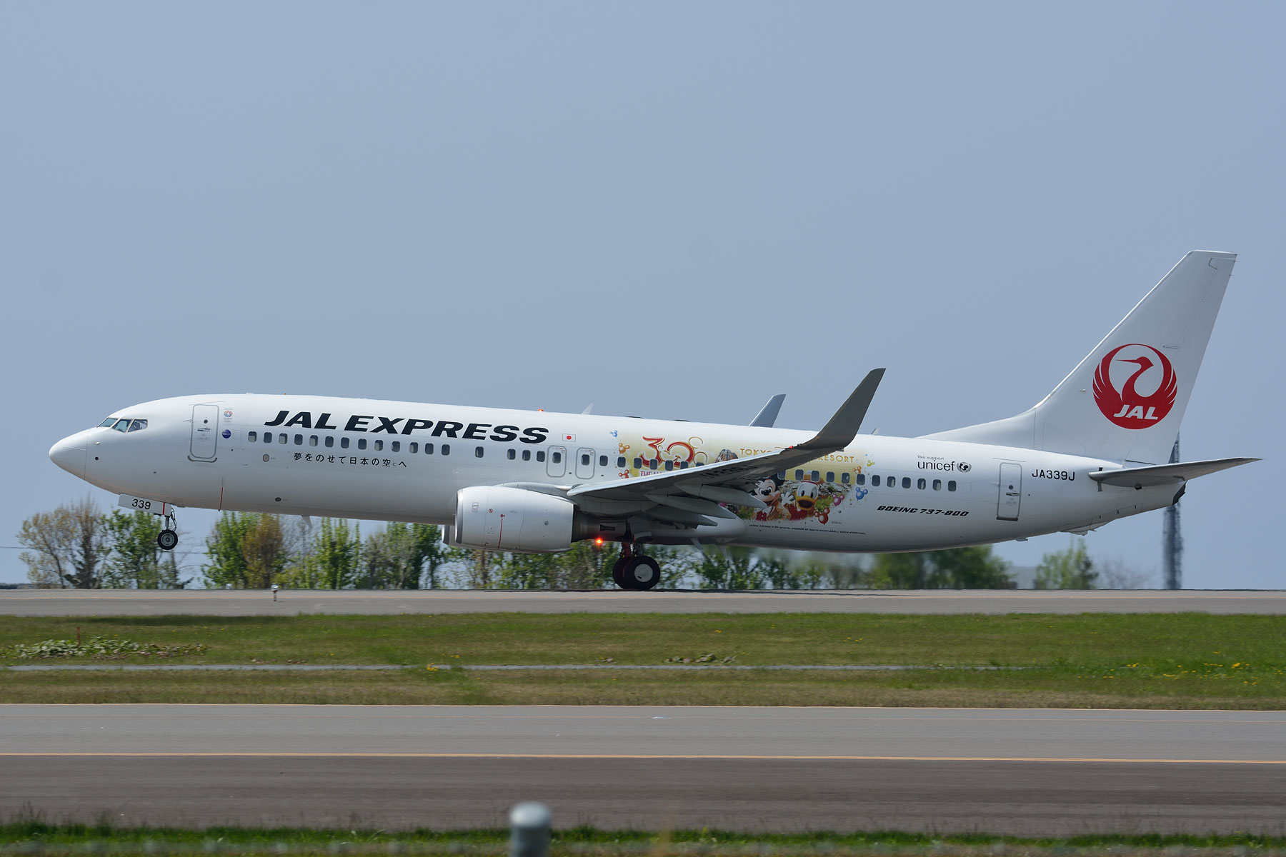 BOEING 737-800 / JA339J - JAL Happiness Express 3 -_d0226909_2343997.jpg