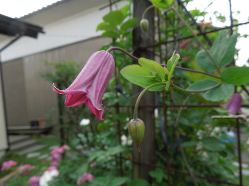 f0297809_21102760.jpg