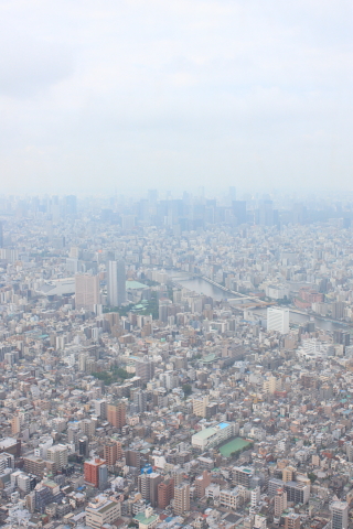 d0077811_23282317.jpg