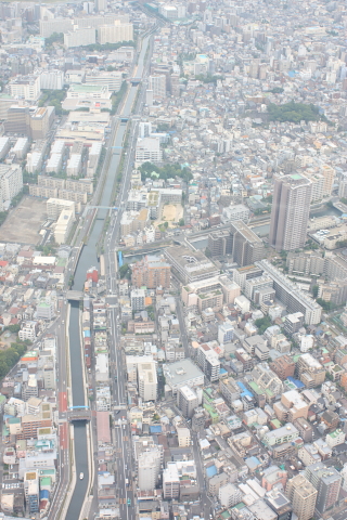 d0077811_233407.jpg