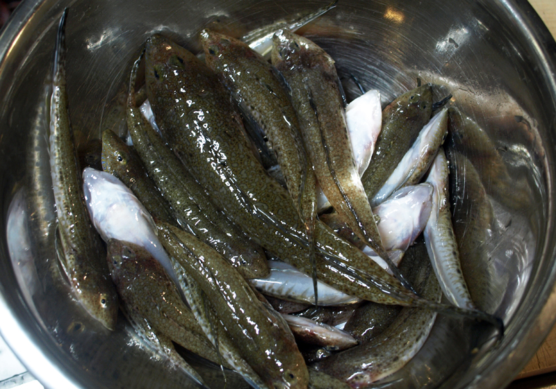 ガッチョ T A L K T O M Y S E L F ガッチョ T A L K T O M Y S E L F