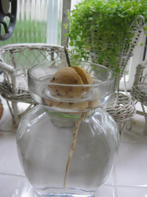 c0085916_01731.jpg