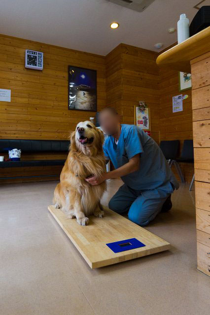 大型犬・超大型犬用体重計♪ : らいす君御一行様