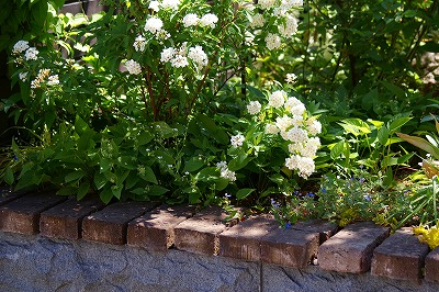 f0170524_10201917.jpg