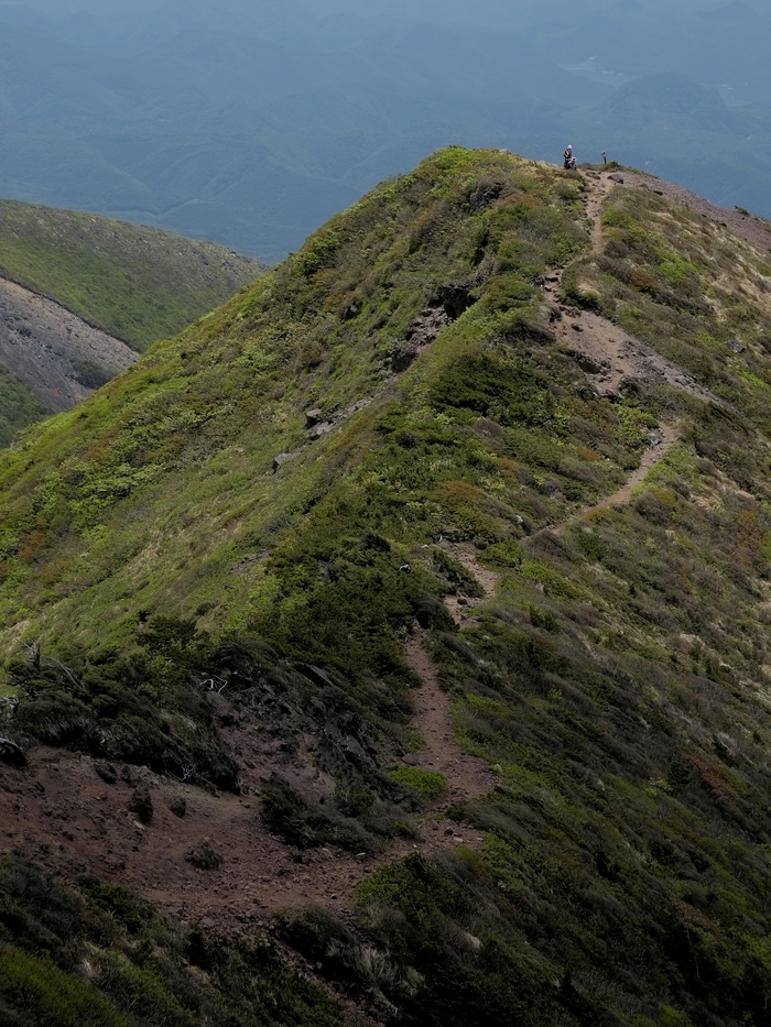 d0237340_7322879.jpg
