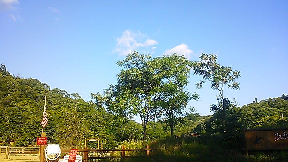e0145441_1615056.jpg