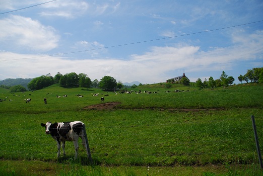 a0238350_2384580.jpg