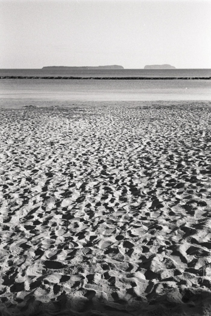 e0264158_1794179.jpg
