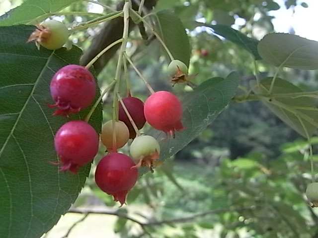 a0146070_66178.jpg