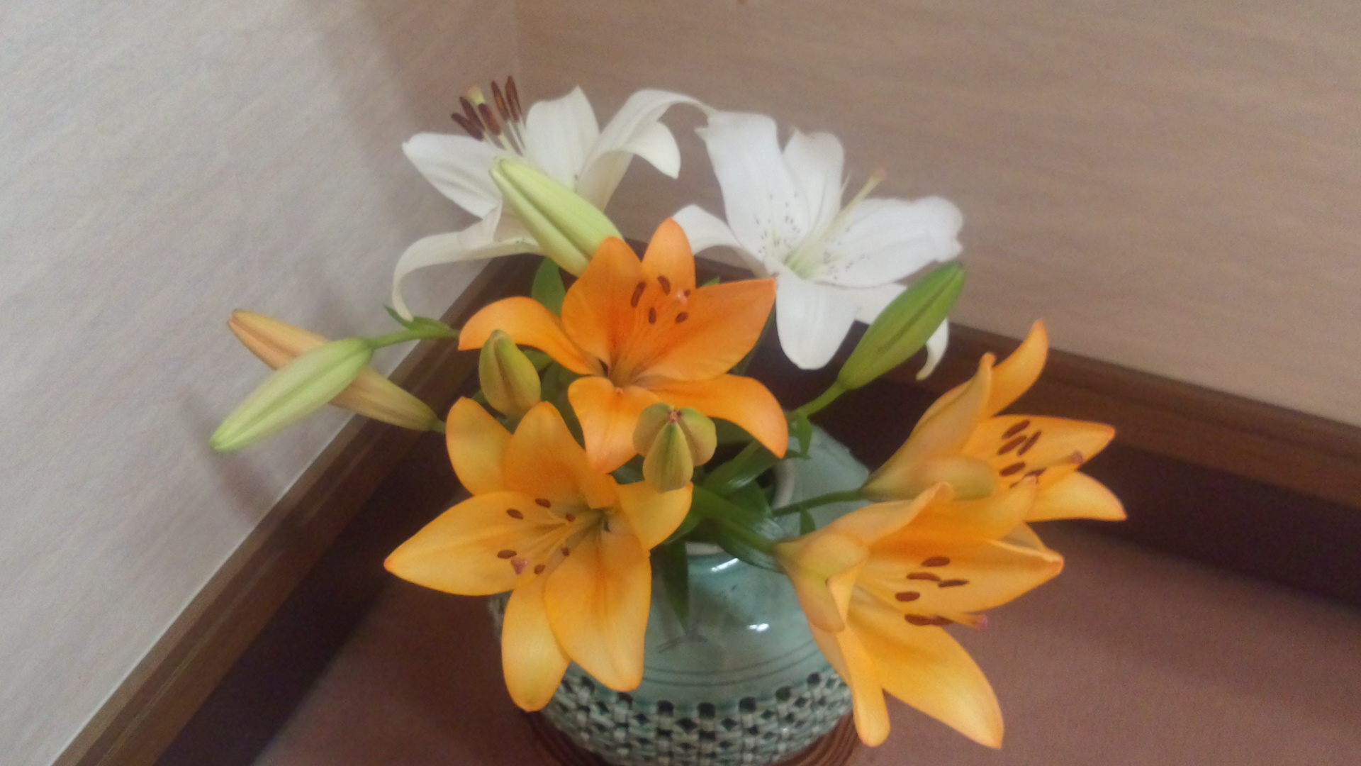 泳げちゃいそうですよ~_a0200771_1511407.jpg