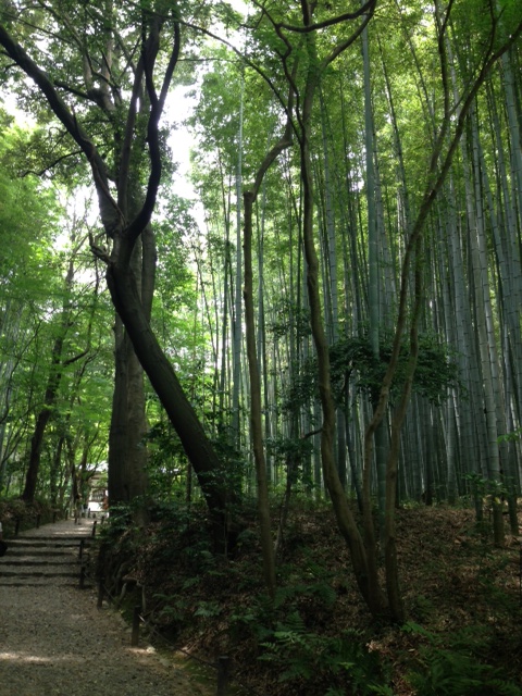 organ　＊京都日帰り観光～♪＊_a0293681_9545964.jpg