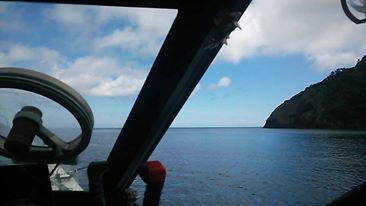 a0133388_9553298.jpg