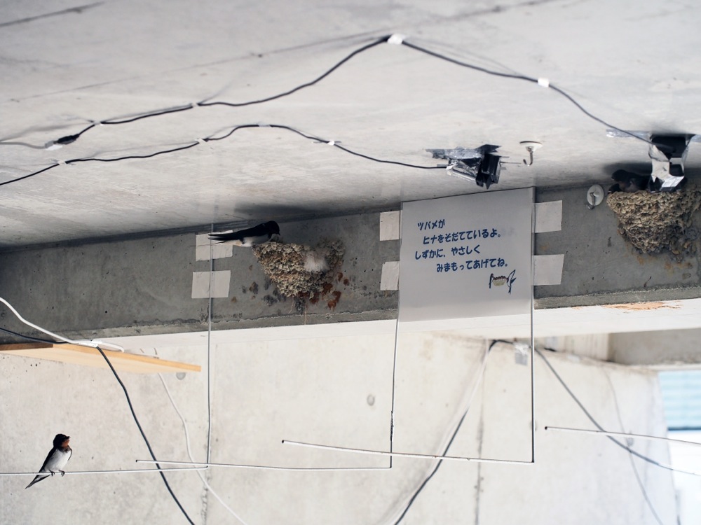 c0167798_8411710.jpg