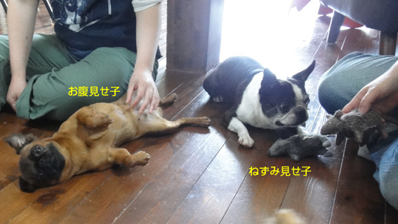 c0094999_18222961.jpg