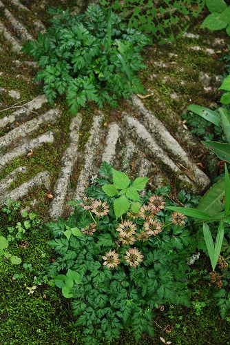 c0124100_23304043.jpg