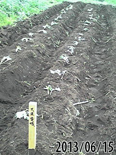 e0270403_2135793.jpg