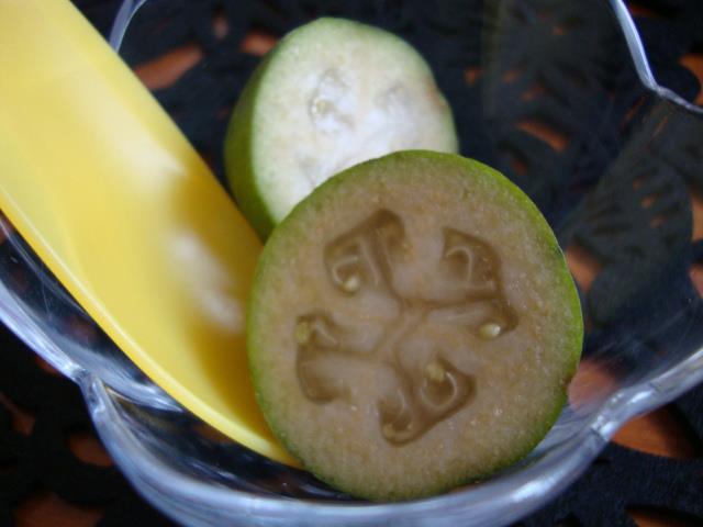 f0276708_1649298.jpg