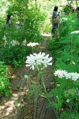 e0128909_8431912.jpg