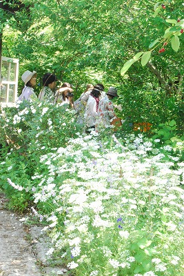 e0128909_8432862.jpg