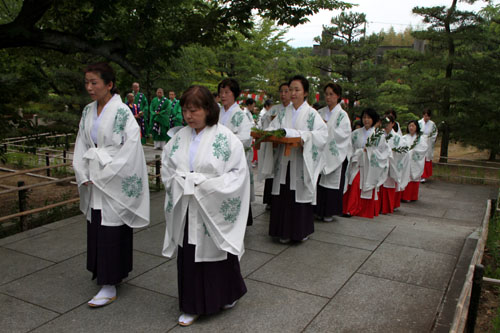 智積院 青葉まつり1_e0048413_2142528.jpg