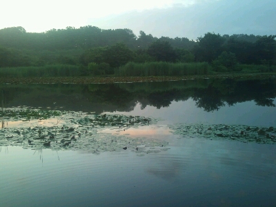 d0135815_10375871.jpg