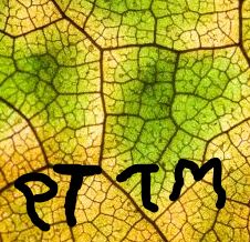 PTTM30例の臨床的解析:癌死の1.4%がPTTMによる_e0156318_9184599.jpg